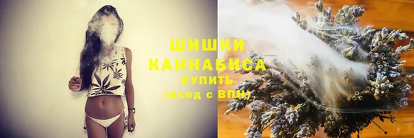 PSILOCYBIN Абаза